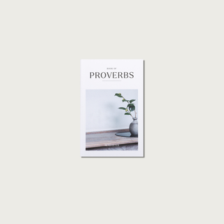 Mini Proverbs Keychain Bundle